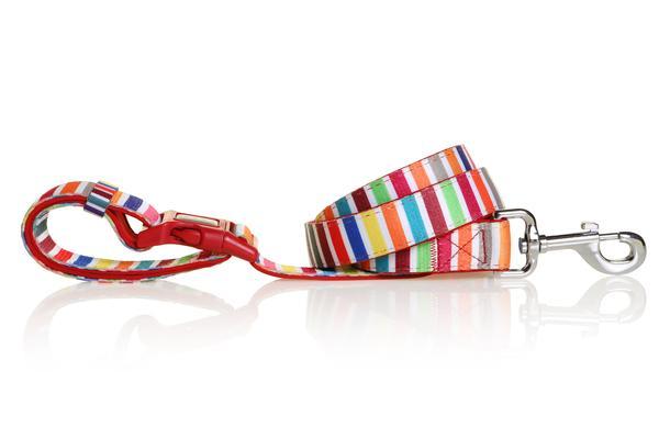 Doog Leine Neoprene Scooby - CLIP-IT